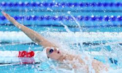 Featured image of post 2024-11-09 아크샘 배영 특강