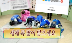 Featured image of post 2026-02-01 코칭 훈련