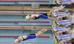 Featured image of post 2026-02-07 자체 훈련