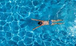 Featured image of post 아쿠아크루 정관